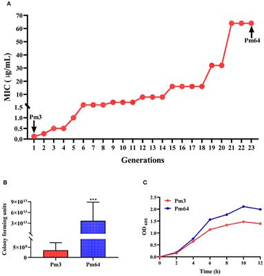 Genomic and Transcriptomic Analysis of Bovine Pasteurella multocida Serogroup A Strain Reveals Insights Into Virulence Attenuation